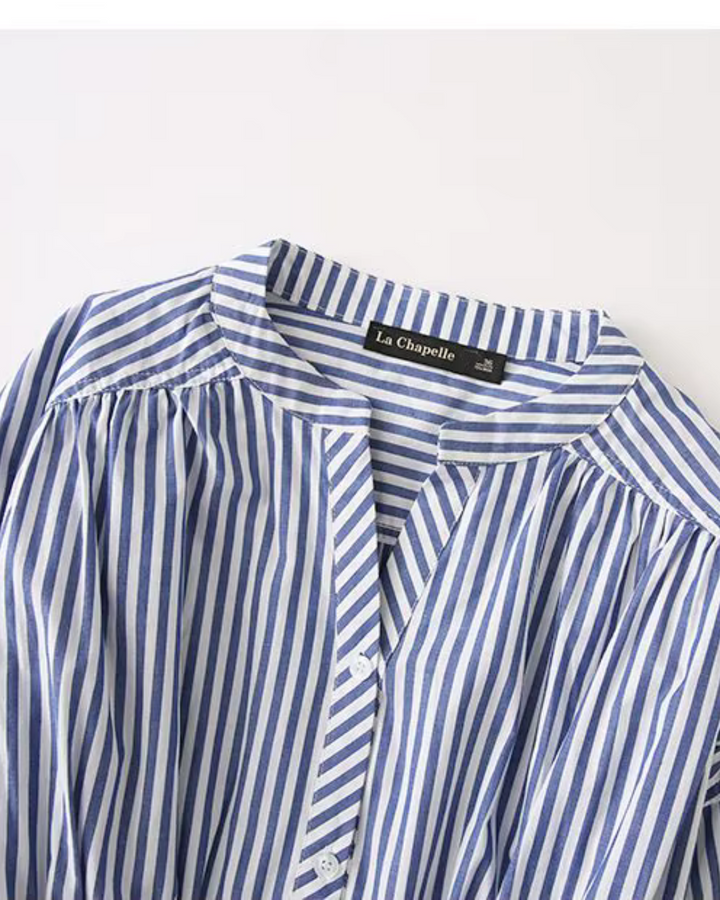 Blauw-Wit Verticaal Gestreept V-Hals Shirt Lente Herfst